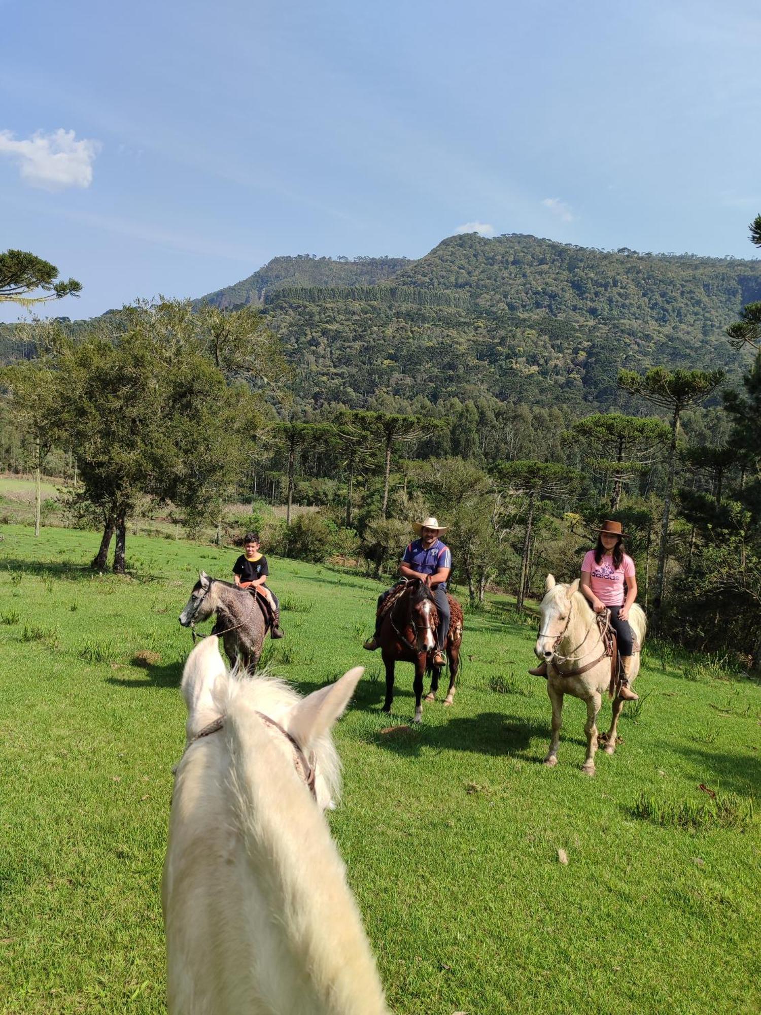 Pousada Vale da Imbuia chalé para temporada Urubici Esterno foto