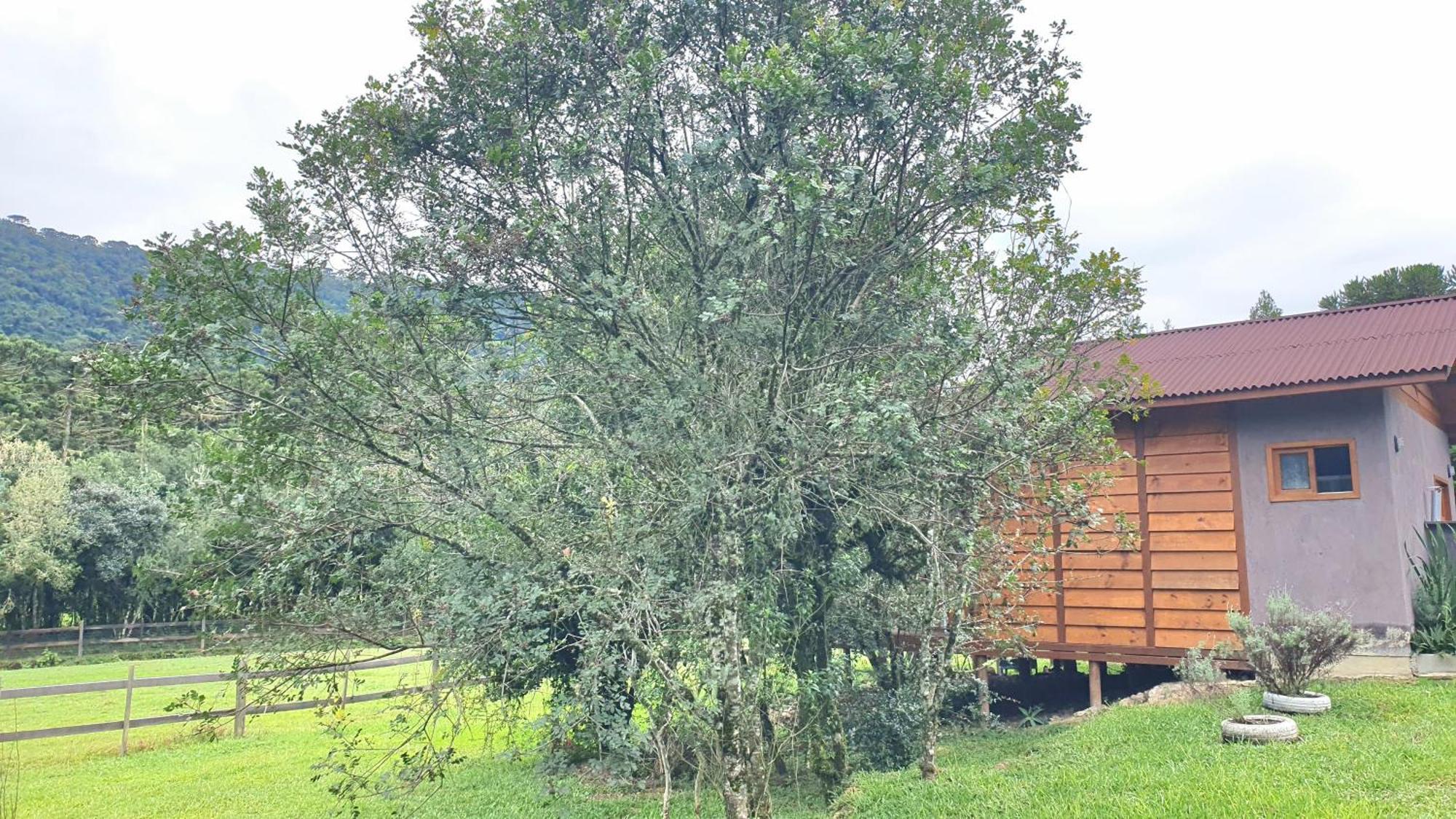 Pousada Vale da Imbuia chalé para temporada Urubici Esterno foto